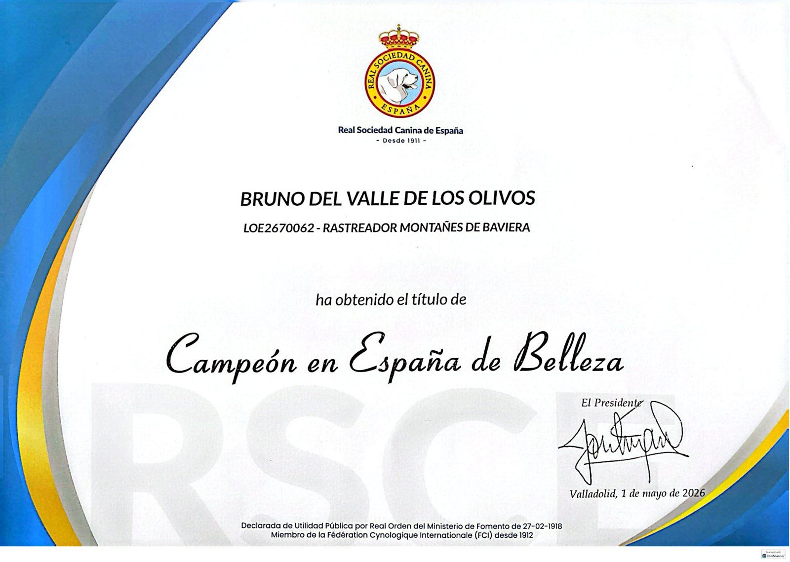 Diploma Campeón en España de Belleza · Bruno del Valle de los Olivos