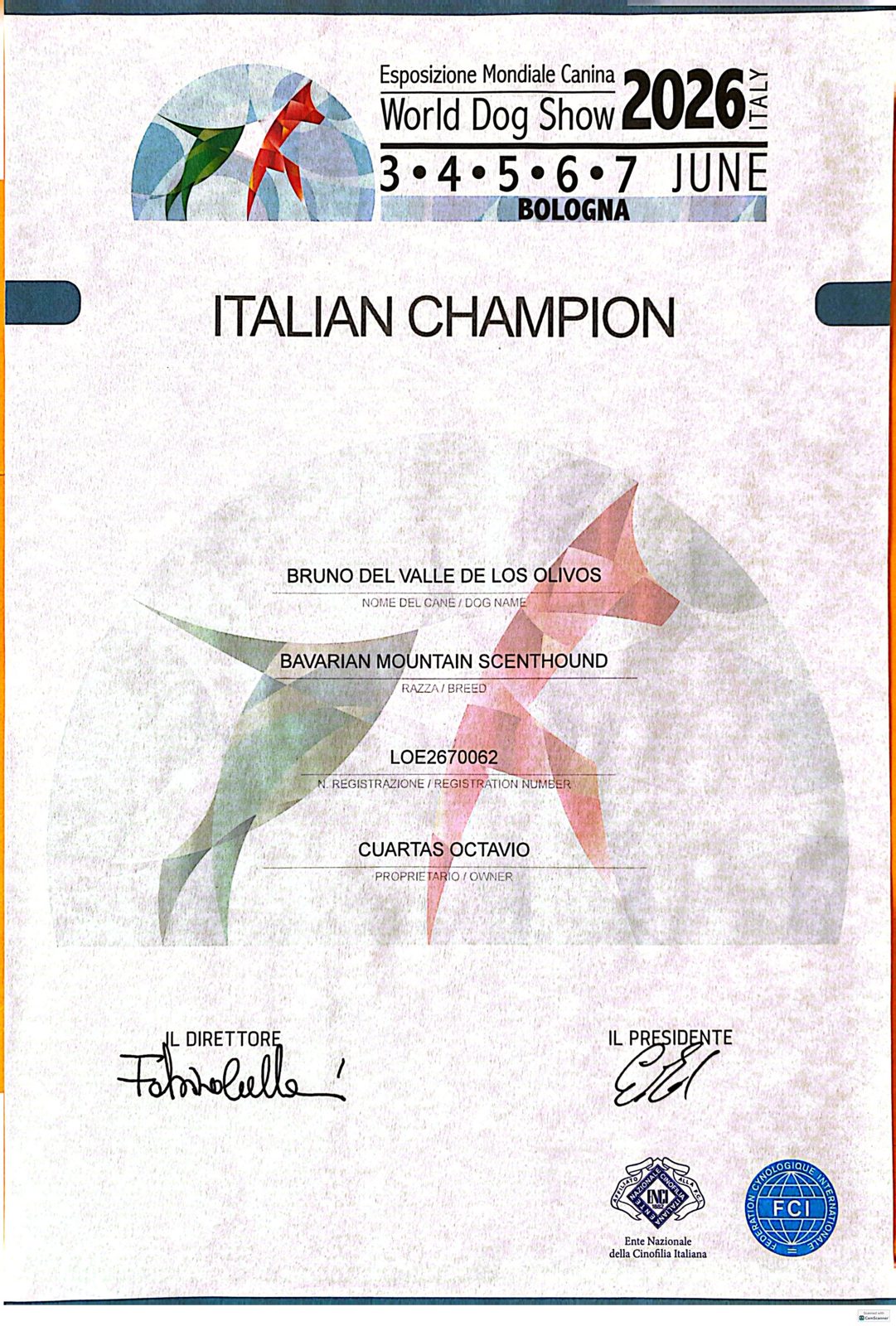 Diploma Italian Champion · Bruno del Valle de los Olivos
