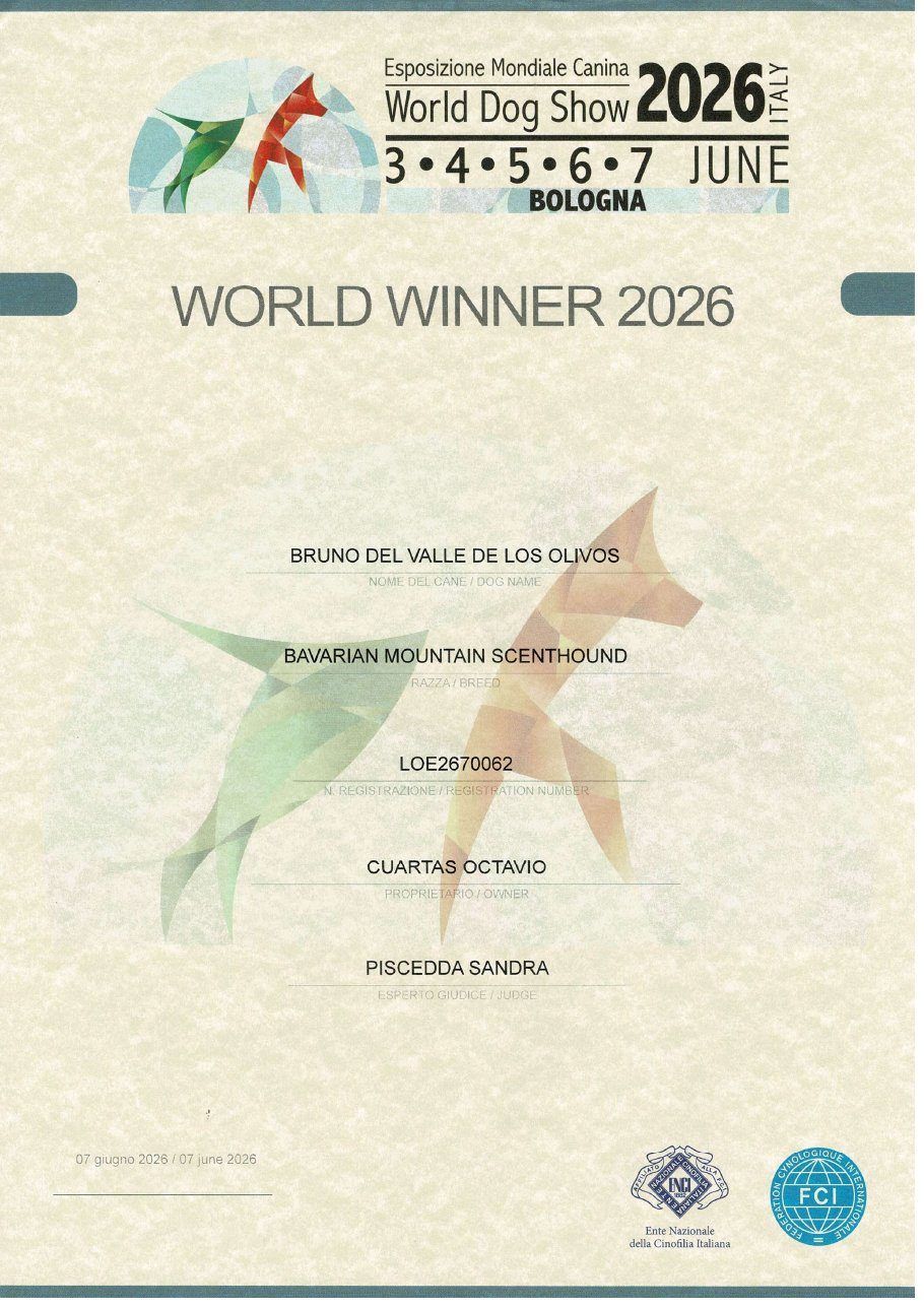 Diploma World Winner 2026 · Bruno del Valle de los Olivos